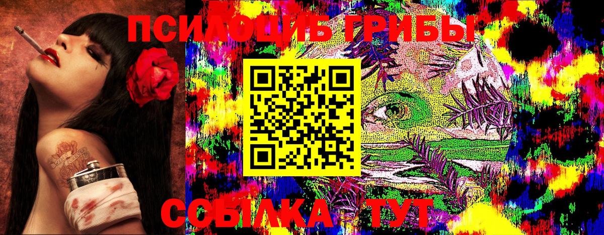 Галлюциногенные грибы Cubensis  Вход с VPN  Псилоцибиновые грибы мухоморы  закладки  Семёнов 